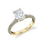 Sylvie Pear Shape Hidden Halo Pave Engagement Ring - Peighton S2433