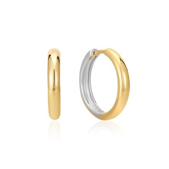 Two Tone Hoop Earrings E048-01T