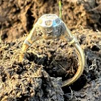 Metal Detectorist Reunites Wales Woman With Engagement Ring After 54 Years