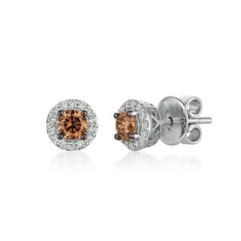  14K Vanilla Gold® Earrings WJBO 5WG