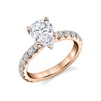 Sylvie Round Cut Classic Wide Band Engagement Ring - Marlise S2793