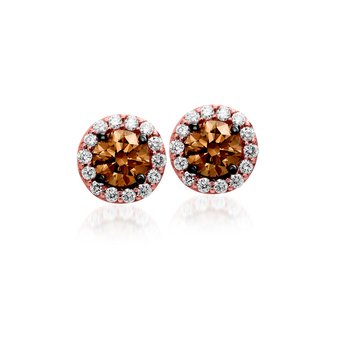  14K Strawberry Gold® Earrings WJBO 5